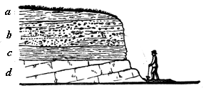 Bank of stream or coast, showing stratification.