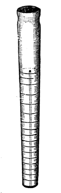 Orthoceras. Siluro-Cambrian.