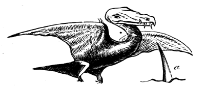 Restoration of   Rhamphorhyncus Bucklandi.