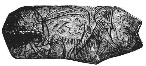 Sketch of a Mammoth, carved   on a portion of a Tusk of the same Animal.