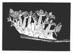 Illustration: Fig. 32.—Zoarium of Lophopodella carteri moving along the stem of a water plant, × 4. (From Igatpuri Lake.)