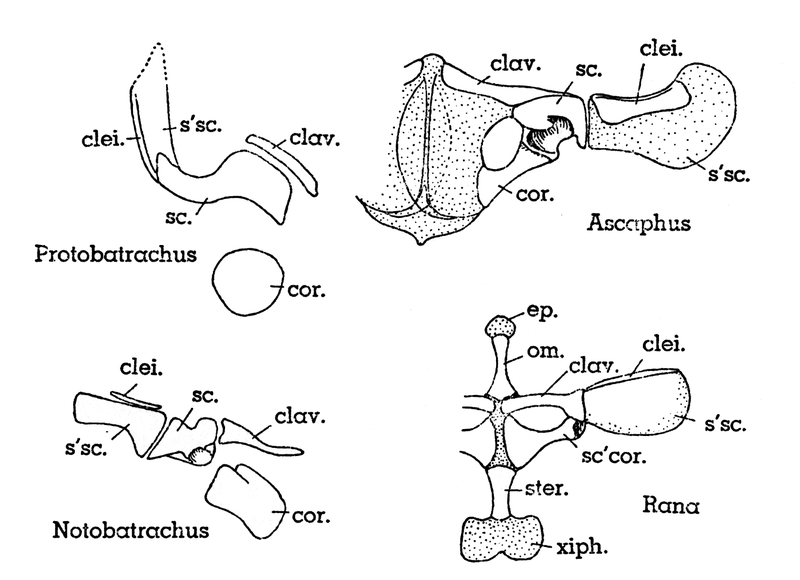 Fig. 8.