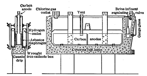 Sections of Allen-Moore Cell