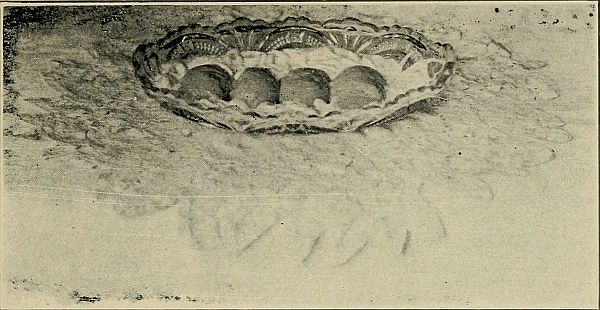 Cornstarch Pudding, Individual Moulds