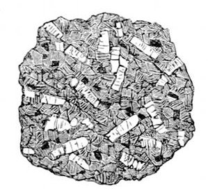 Fig. 43.  A piece of Dartmoor Granite, drawn from a specimen.