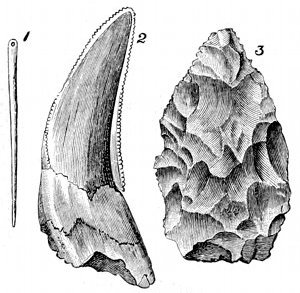 Fig. 78.  Palæolithic relics.  1, Bone needle, from a cave at La Madeleine, ½ size. 2, Tooth of Machairodus or sabre-toothed tiger, from Kent's Cavern, ½ size. 3, Rough stone implement, from Kent's Cavern, ¼ size.