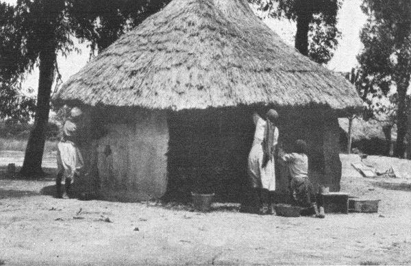 Hut Built by H. Frances Davidson and Alice Heise at Matopo.