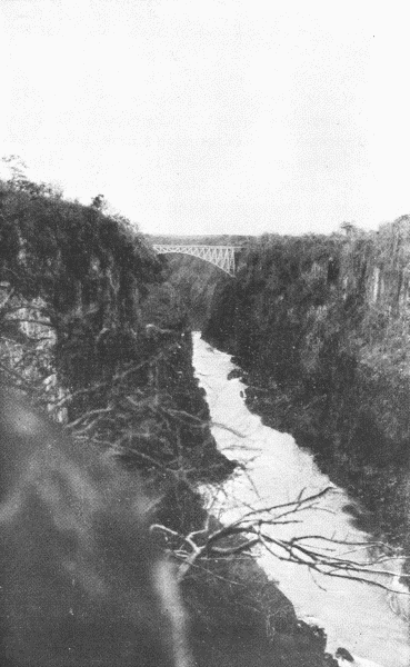 Victoria Falls Bridge.