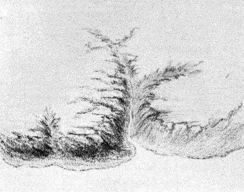 FIG. 1. Sketch of a valley  at the stage of development corresponding to the cross section shown in Fig. 18.