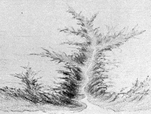 FIG. 2. Sketch of a valley  at the stage of development corresponding to the cross section shown in Fig. 20.