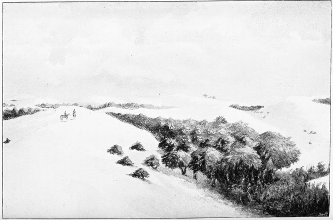 Plate XXXI.  SAND-DUNES AND CORRALES OF DOÑANA.  Page 245.