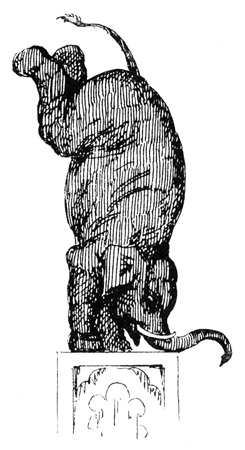 "When the Elephant stands upon his Head, does he himself know whether he is standing upon his Head or his Heels?" "George Cruikshank's Magazine," February 1854.