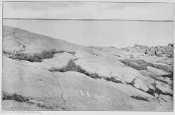 Photo. J. B. Tyrrell, Oakley, 1894. S. HEARNE'S NAME ON THE SMOOTH GLACIATED ROCK AT SLOOP'S COVE, NEAR CHURCHILL