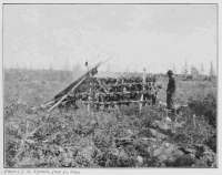 Photo: J. P. Tyrrell, July 31, 1893. DRYING CARIBOU MEAT