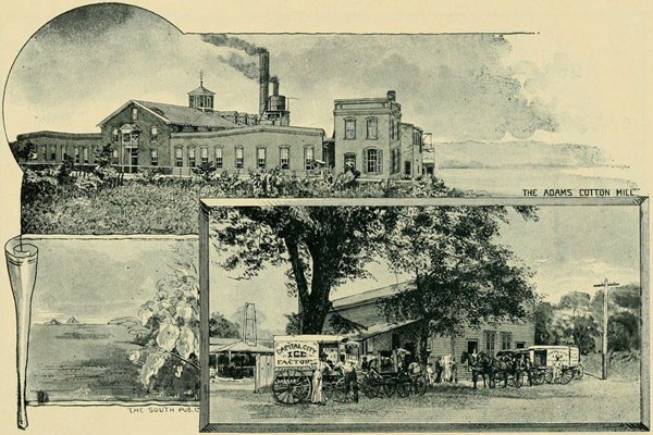 THE ADAMS COTTON MILL