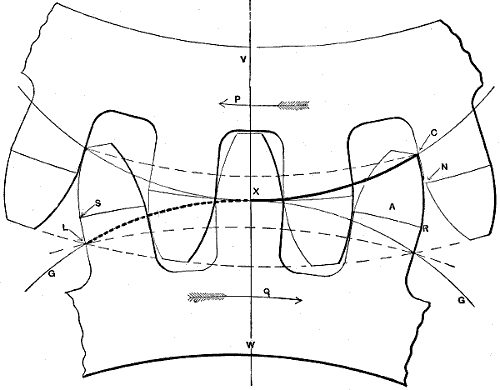 Fig. 42