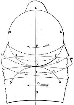 Fig. 43