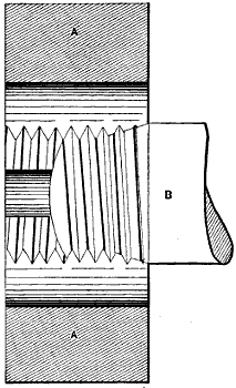 Fig. 264