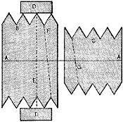 Fig. 282