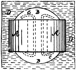 Fig. 1439