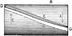 Fig. 1974