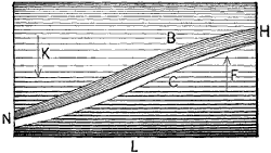 Fig. 1975