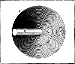 Fig. 2025 top