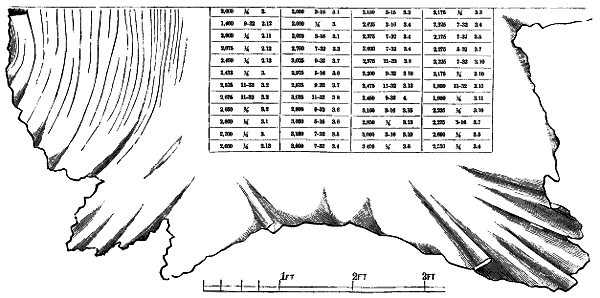 Fig. 2660