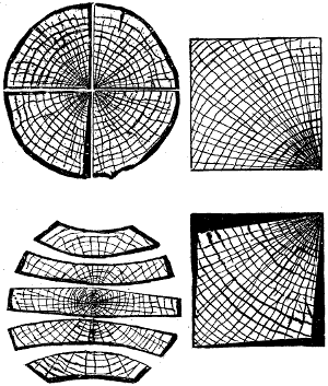 Fig. 2706