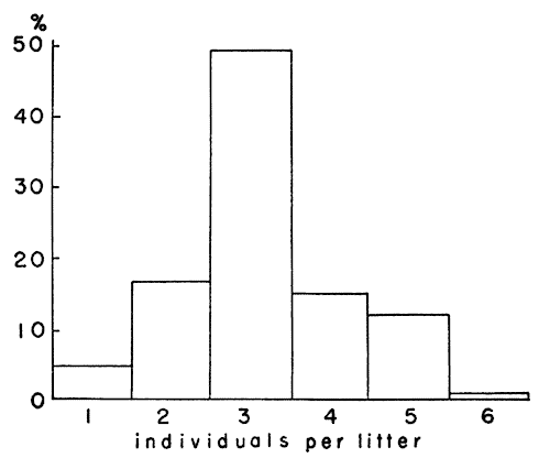  Distribution of litter size among 65 litters of voles