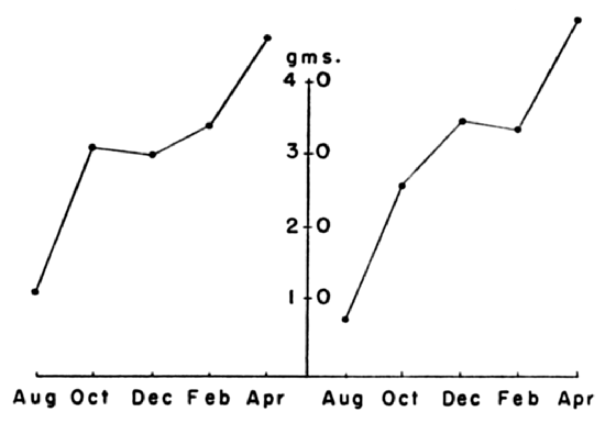 Growth rates of two voles