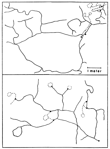 Maps of runway systems