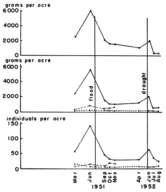  Variations in density and biomass of three common rodents on House Field