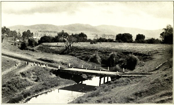 SWAN CREEK VALLEY, NEAR YANGAN, WARWICK DISTRICT