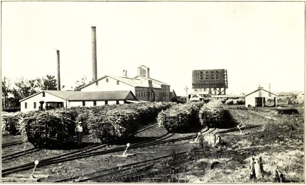 SUGAR-MILL, CHILDERS, NORTH COAST RAILWAY