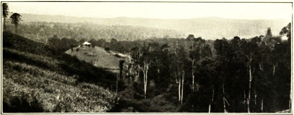 FARM SCENE, BLACKALL RANGE