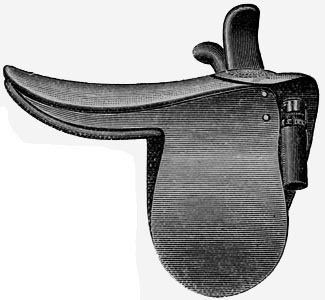 A saddle