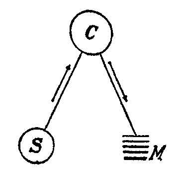 S—Sense, C—Nerve centre, M—Motor.