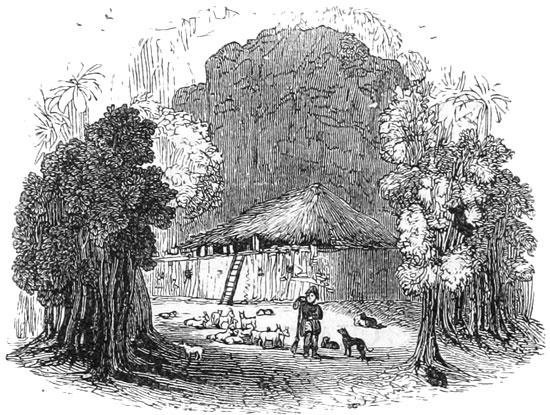 Crusoe's Castle