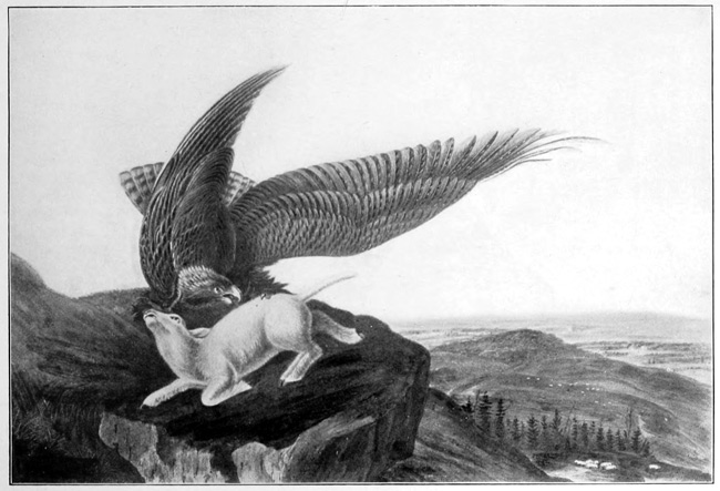 EAGLE AND LAMB