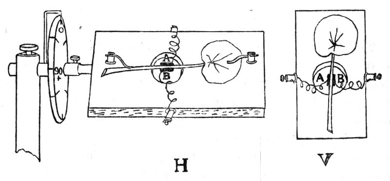 Fig. 166.