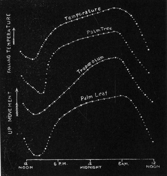 Fig. 200.