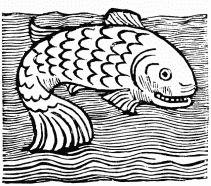 FIG. 16.—Leviathan. From the “Ortus Sanitatis.” Venice, 1511.