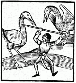 FIG. 21.—Pygmy and Cranes. From the “Ortus Sanitatis.” Venice, 1511.