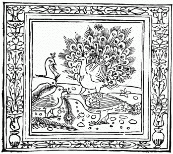 FIG. 23.—The Crow and the Peacock. From “Æsop’s Fables.” Venice, 1491 (design, 1481).