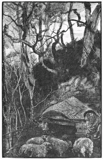 FIG. 80.—“And silent were the sheep in woolly fold.”—KEATS, St. Agnes Eve. Engraved by J. G. Smithwick.