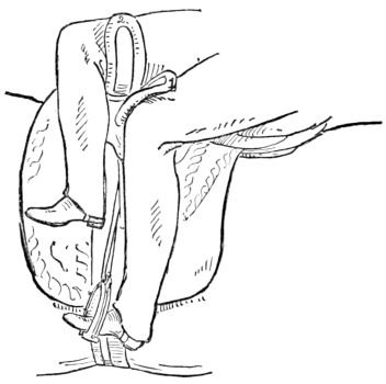 Fig. 20.—Correct seat for a lady. Side view.