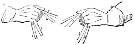 Fig. 28.—Double bridle; a snaffle and a curb rein in each hand.