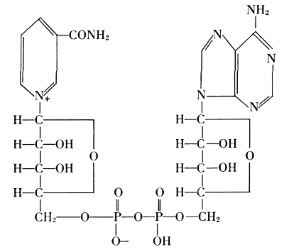 Coenzyme I