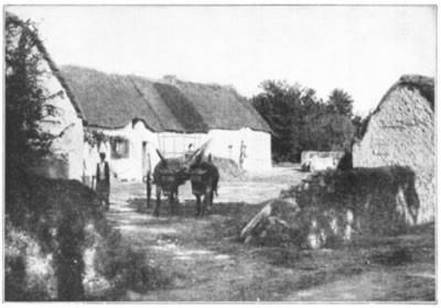 A GROUP OF TYPICAL THATCH ROOFED HOUSES IN A LITTLE FRENCH VILLAGE